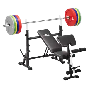 A product image of FLYBIRD Olympic Weight Bench loaded with barbell & Color Bumper Plate.