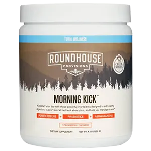 Roundhouse Morning Kick